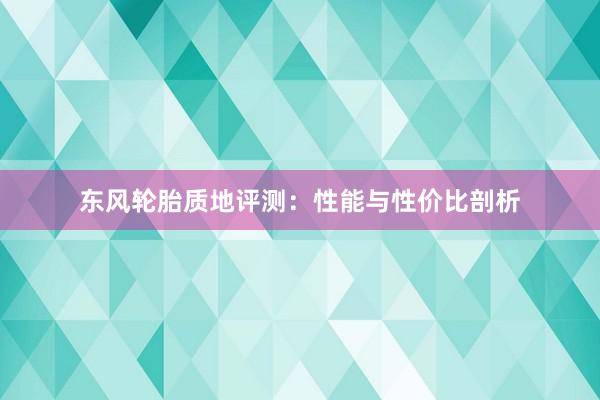 东风轮胎质地评测：性能与性价比剖析